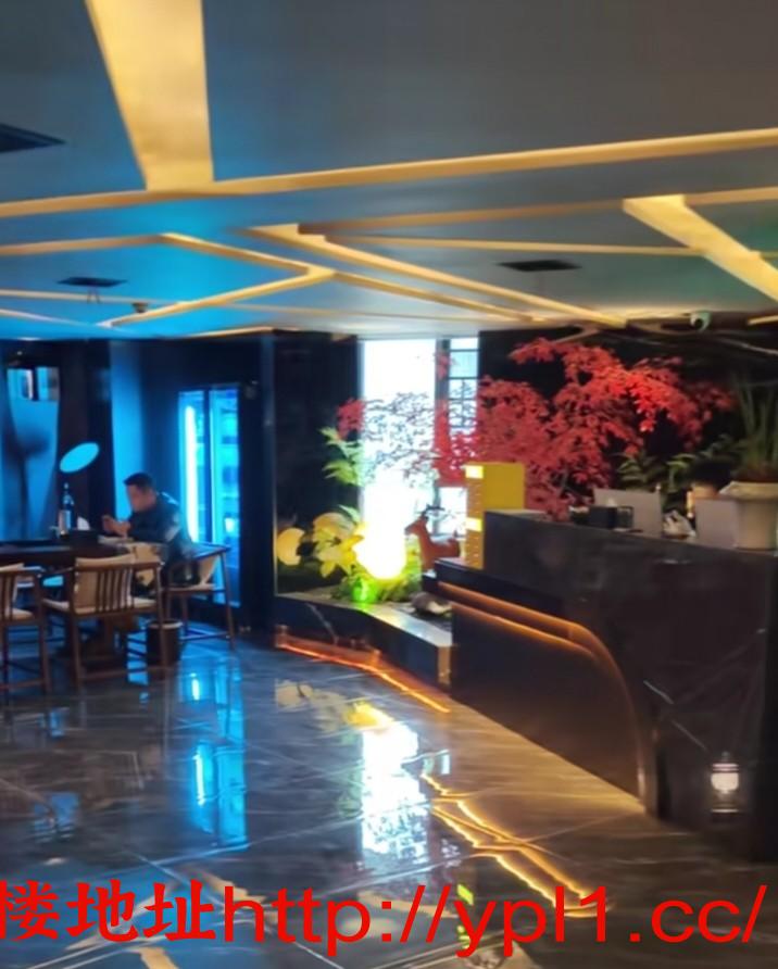 同城会所小姐姐风骚撩人！